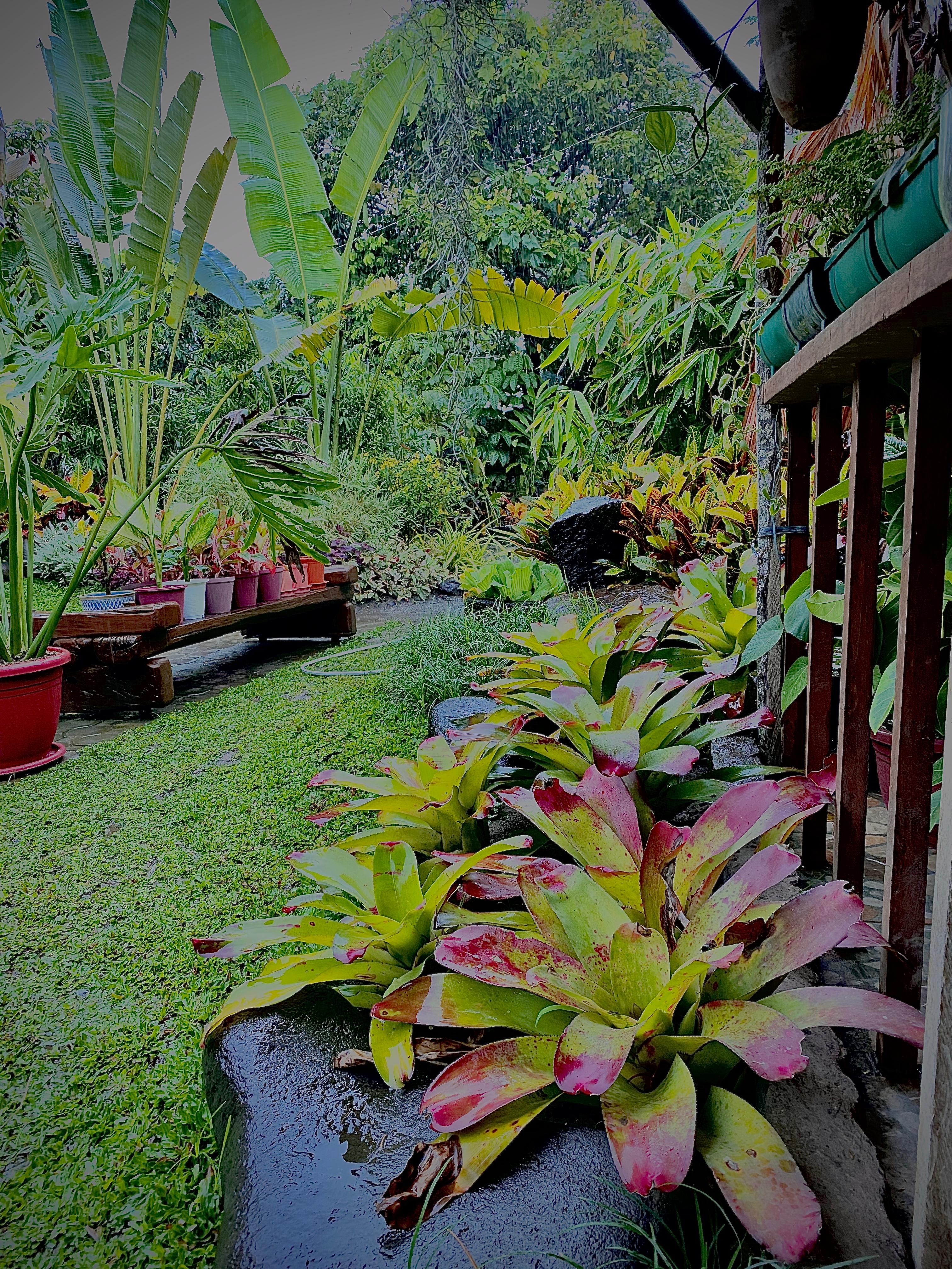 Laguna Project